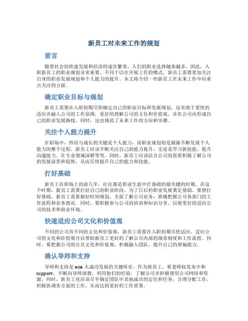 新员工对未来工作的规划