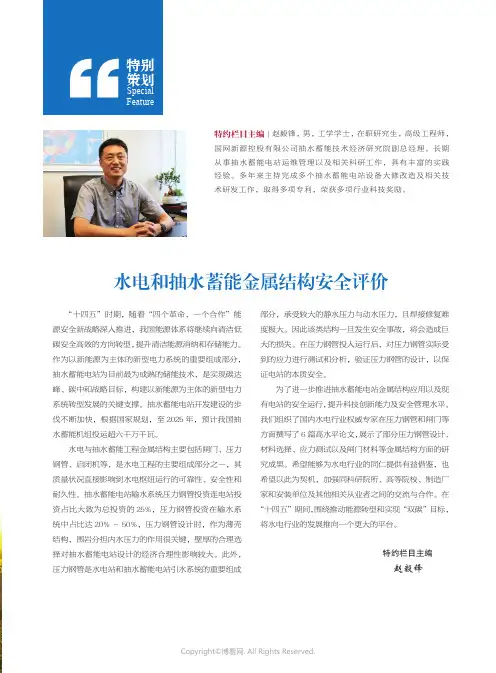 219496943_水电和抽水蓄能金属结构安全评价