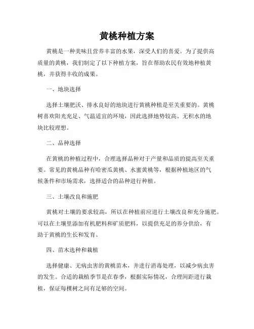 黄桃种植方案