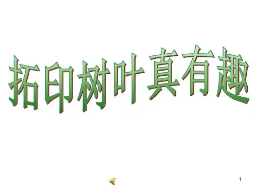 拓印树叶真有趣PPT课件