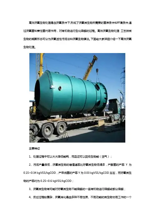 高效厌氧生物处理