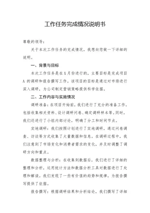 工作任务完成情况说明书