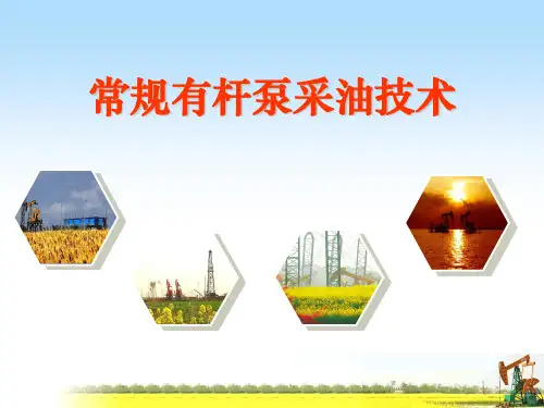 常规有杆泵采油技术资料