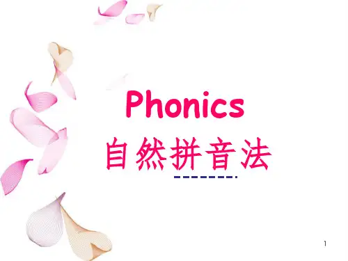 自然拼读字母ppt课件