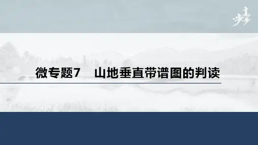 21-22版：微专题7  山地垂直带谱图的判读（步步高）