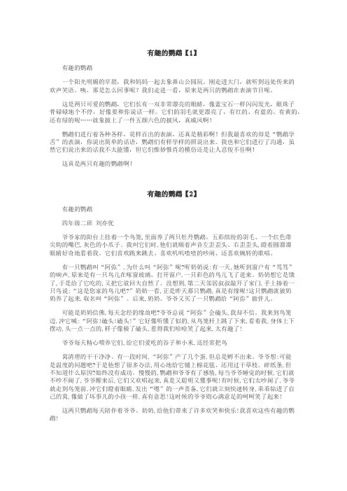 有趣的鹦鹉作文
