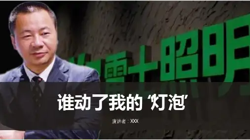 谁动了我的灯泡-雷士照明-案例分析ppt