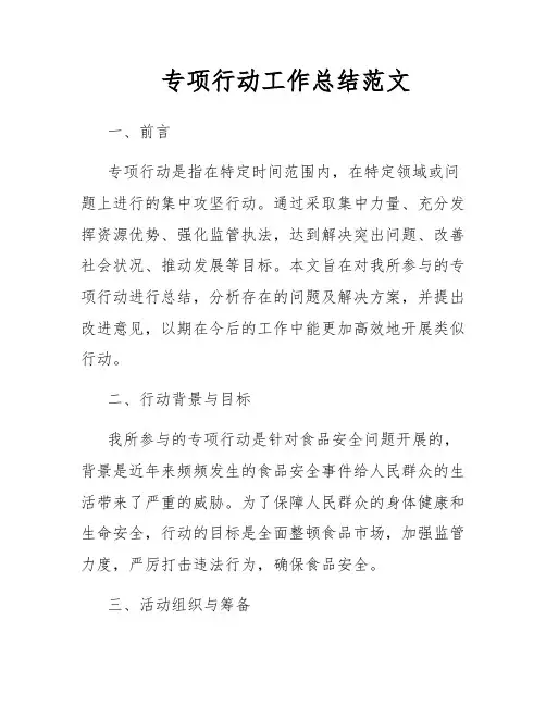 专项行动工作总结范文
