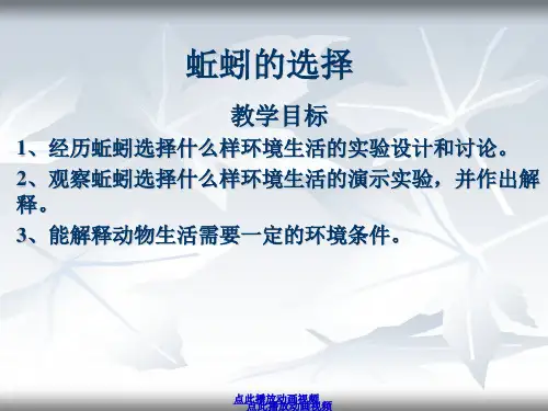 新教科版五年级科学上册《蚯蚓的选择》精品课件