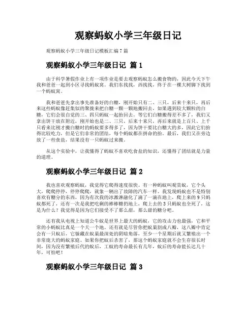观察蚂蚁小学三年级日记