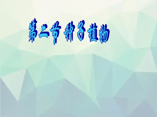 人教版七年级上册生物-3种子植物课件(共52张PPT)