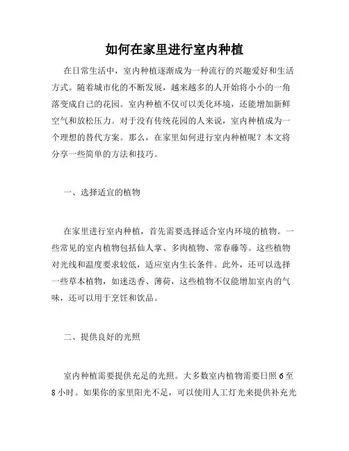 如何在家里进行室内种植