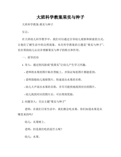 大班科学教案果实与种子