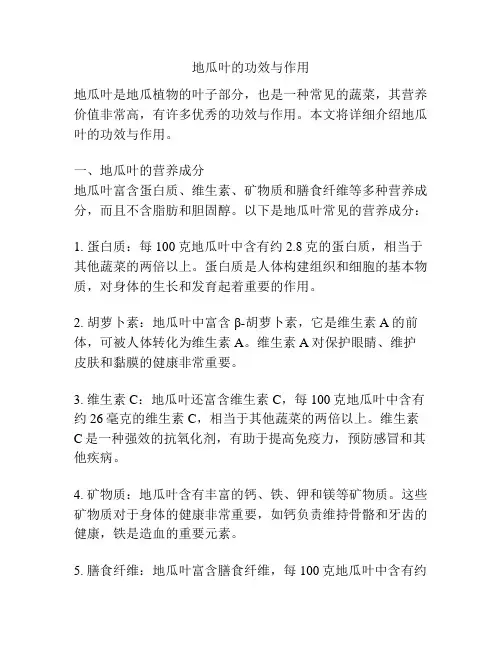 地瓜叶的功效与作用