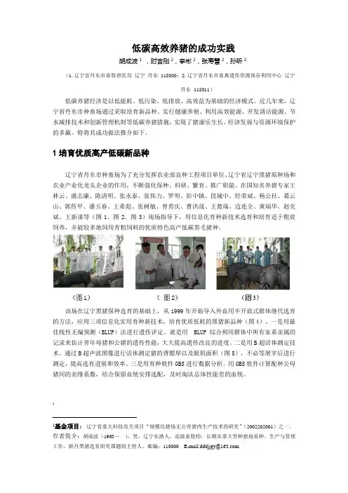 低碳高效养猪的成功实践