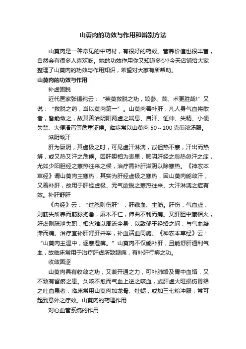 山萸肉的功效与作用和辨别方法