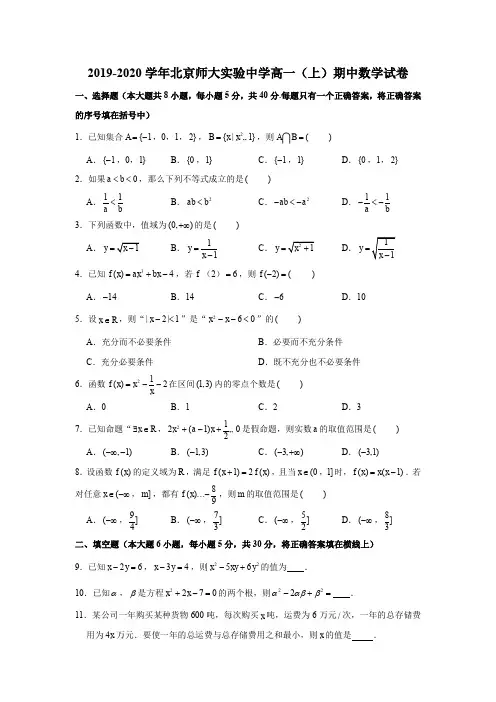 2019-2020学年北京师大实验中学高一(上)期中数学试卷试题及答案(解析版)