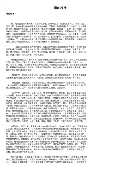 鹰的精神——精选推荐