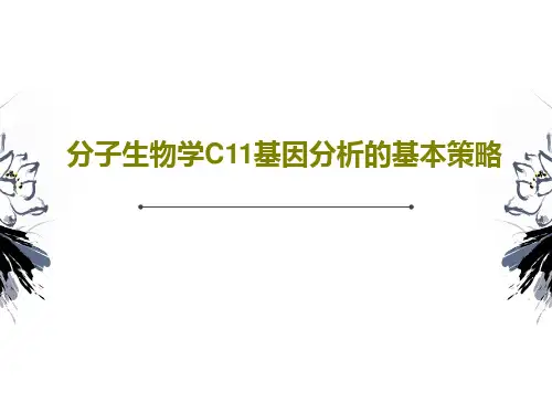 分子生物学C11基因分析的基本策略54页PPT