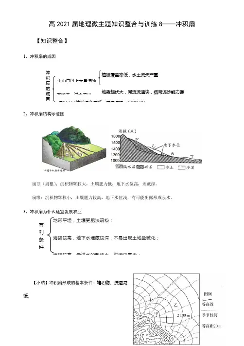 高2021届微主题知识整合与训练8——冲积扇