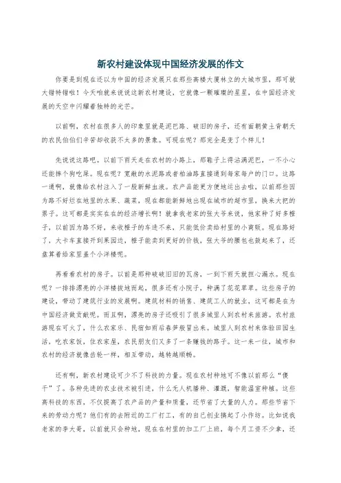 新农村建设体现中国经济发展的作文