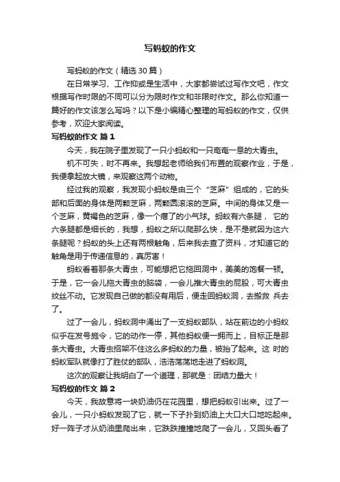 写蚂蚁的作文（精选30篇）