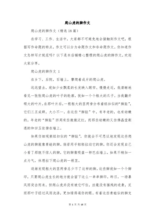 爬山虎的脚作文