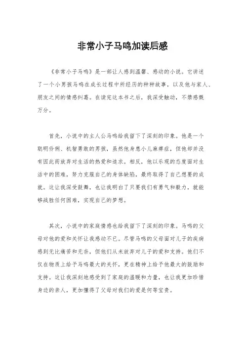 非常小子马鸣加读后感