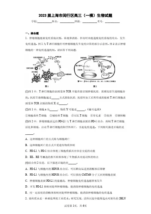 2023届上海市闵行区高三(一模)生物试题(含答案解析)