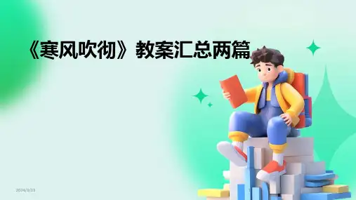 2024年度《寒风吹彻》教案汇总两篇