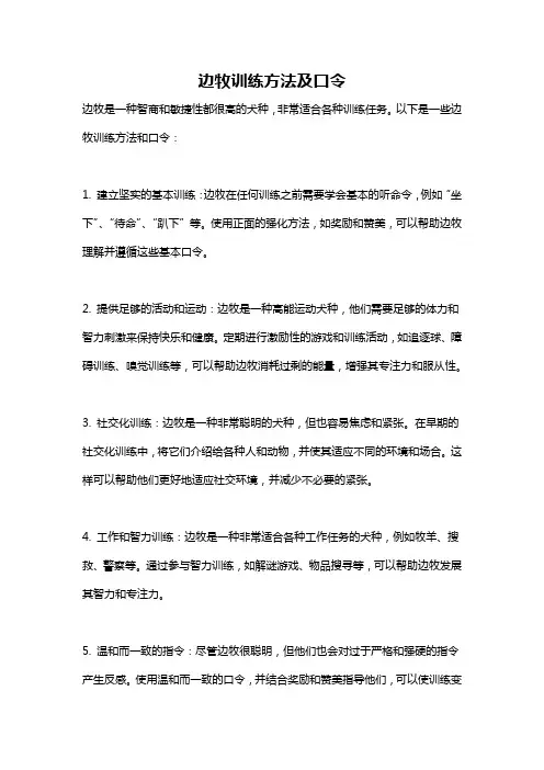 边牧训练方法及口令