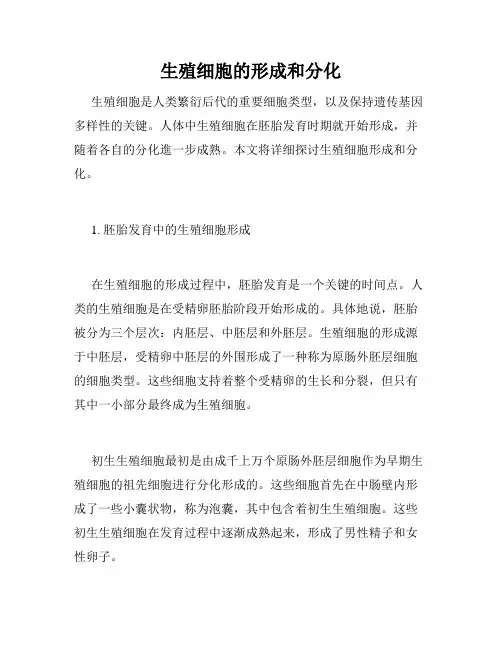 生殖细胞的形成和分化