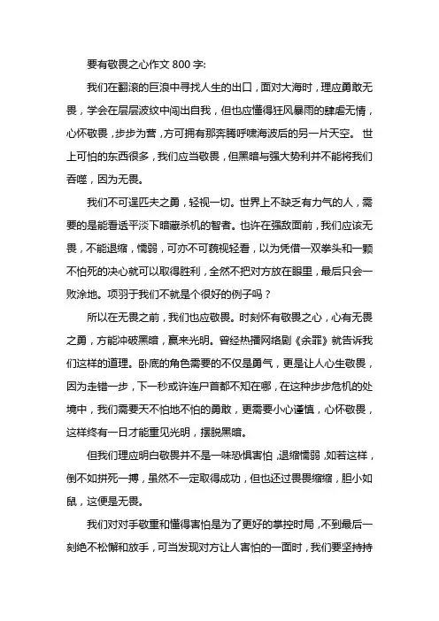 要有敬畏之心作文800字