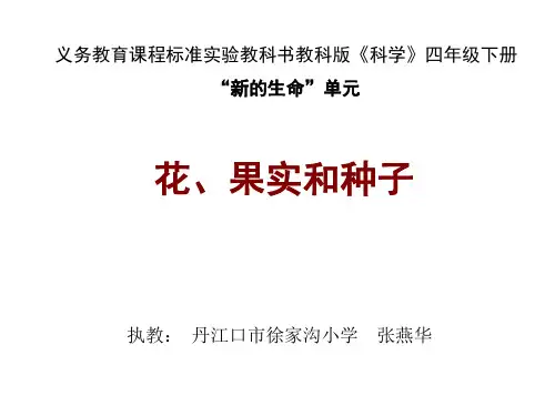 小学科学花、果实和种子(2019年10月整理)