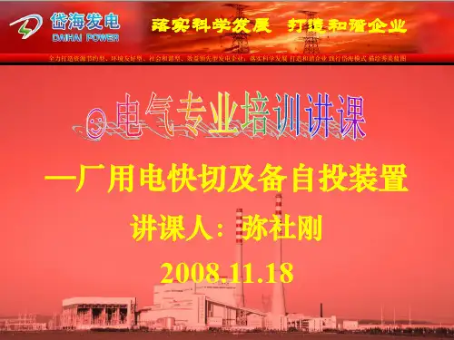 快切备自投 PPT课件