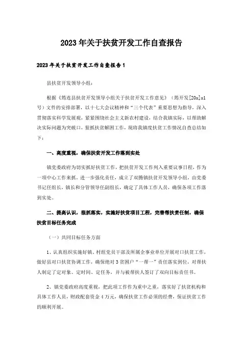 2023年关于扶贫开发工作自查报告