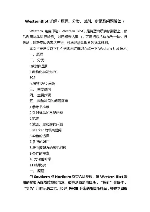 WesternBlot详解（原理、分类、试剂、步骤及问题解答）