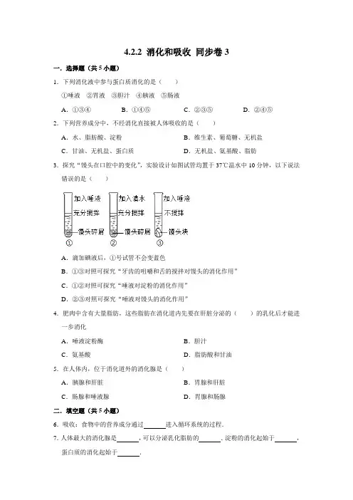 人教版生物七年级下册 消化和吸收