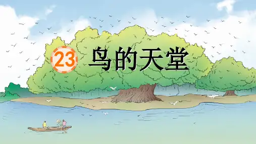 23 鸟的天堂 课件(共43张PPT).ppt