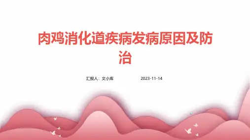 肉鸡消化道疾病发病原因及防治
