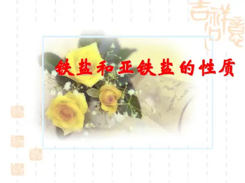 《铁盐和亚铁盐的性质》PPT课件共27页文档