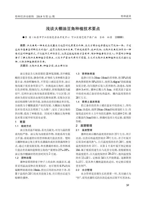 浅谈大棚油豆角种植技术要点