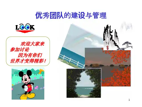 团队管理(课堂PPT)