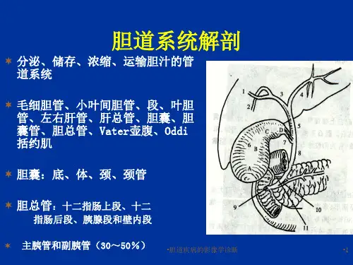 胆道疾病的影像学诊断课件