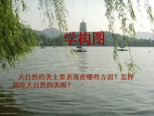 人教版 美术五年级下册学构图(课件)