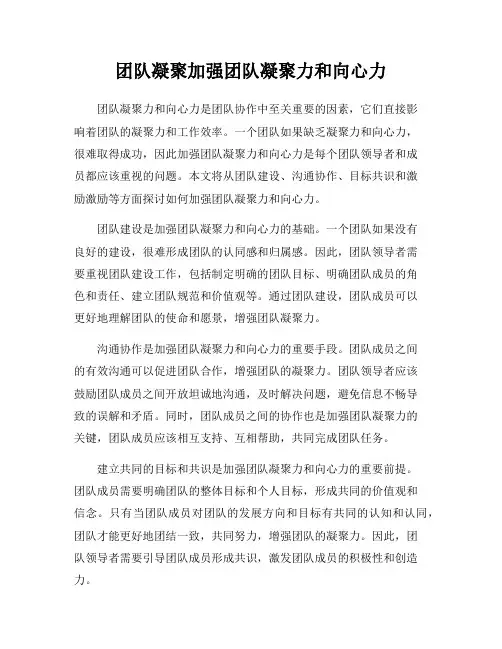 团队凝聚加强团队凝聚力和向心力