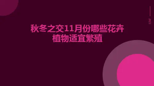 秋冬之交11月份哪些花卉植物适宜繁殖
