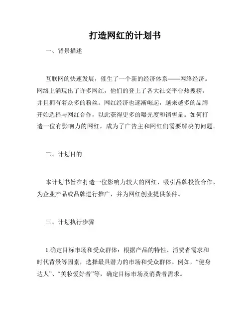 打造网红的计划书