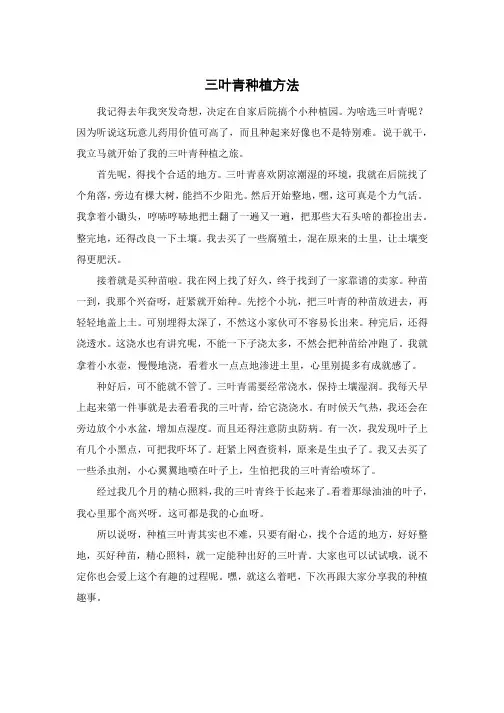 三叶青种植方法