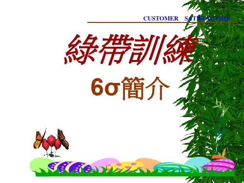 绿带训练6σ简介ppt49